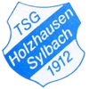 Wappen / Logo des Teams TSG Holzhausen/Sylbach