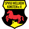 Wappen / Logo des Teams SpVgg Wellheim