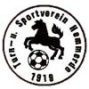 Wappen / Logo des Teams TuS Hemmerde