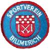 Wappen / Logo des Teams SV BR Billmerich
