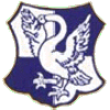 Wappen / Logo des Teams TSV Unterschwaningen