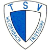Wappen / Logo des Teams TSV Weidenbach-T.