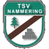 Wappen / Logo des Teams TSV 1950 Nammering