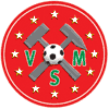 Wappen / Logo des Vereins Vatanspor Meggen 2000