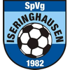 Wappen / Logo des Teams JSG Iseringhausen/Hillmicke E2