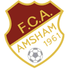 Wappen / Logo des Teams FC Amsham