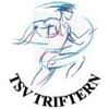 Wappen / Logo des Teams TSV Triftern 2