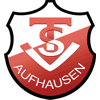Wappen / Logo des Teams TSV Aufhausen