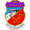 Wappen / Logo des Teams SG Walhalla/ DJK 06 Regensburg