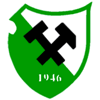 Wappen / Logo des Teams SV Grn-Weiss Stetten