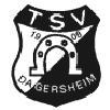 Wappen / Logo des Teams TSV Dagersheim