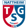 Wappen / Logo des Teams TSG Nattheim II