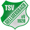 Wappen / Logo des Teams SG TSV Nellmersbach/SKG Erbstetten 2