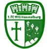 Wappen / Logo des Teams 1. FC 1913 Hammelburg