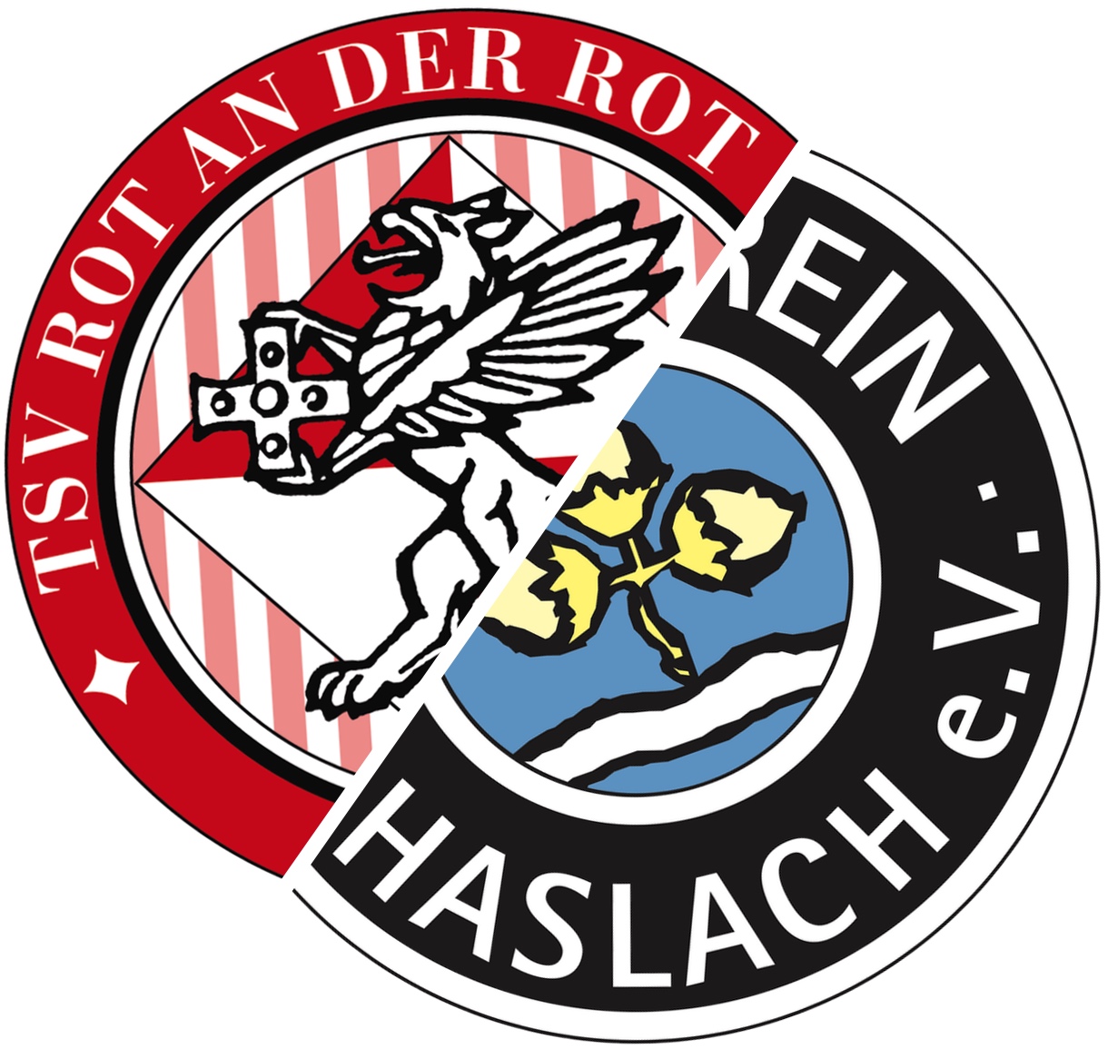 Wappen / Logo des Vereins TSV Rot an der Rot
