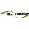 Wappen / Logo des Teams SGM Berkheim