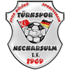 Wappen / Logo des Teams Trkspor Neckarsulm 2