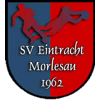 Wappen / Logo des Teams SV Morlesau