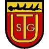 Wappen / Logo des Vereins TSG Upfingen
