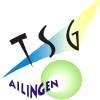 Wappen / Logo des Teams TSG Ailingen