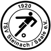 Wappen / Logo des Teams TSV Steinach