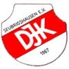 Wappen / Logo des Vereins DJK Seubrigshausen