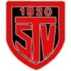 Wappen / Logo des Teams SV Tiefenbach 2