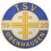 Wappen / Logo des Teams TSV Obenhausen