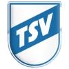 Wappen / Logo des Vereins TSV Bnnigheim