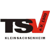 Wappen / Logo des Teams SGM Sachsenheim 2