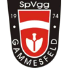 Wappen / Logo des Teams Spvgg Gammesfeld
