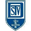 Wappen / Logo des Teams TSV Denkendorf 4 / Knirpse