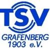 Wappen / Logo des Teams TSV Grafenberg