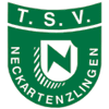 Wappen / Logo des Teams TSV Neckartenzlingen 2