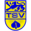 Wappen / Logo des Vereins TSV Schlechtbach