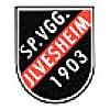 Wappen / Logo des Teams SpVgg 03 Ilvesheim 2