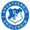 Wappen / Logo des Teams SV Erolzheim