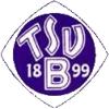 Wappen / Logo des Vereins TSV Bernhausen