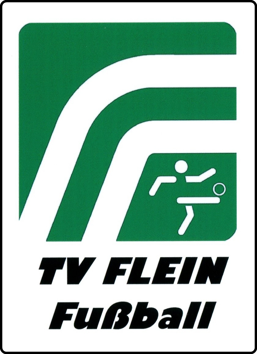 Wappen / Logo des Teams TV Flein 3