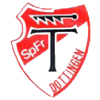Wappen / Logo des Teams FC Dottingen-Rietheim