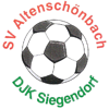 Wappen / Logo des Teams SV Altenschnbach