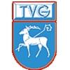 Wappen / Logo des Teams TV Gltstein