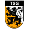 Wappen / Logo des Vereins TSG Leonberg