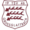 Wappen / Logo des Teams SGM TSV Groglattbach/TSV Nussdorf