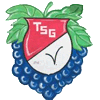Wappen / Logo des Teams TSG Verrenberg