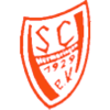 Wappen / Logo des Teams SC Hermaringen