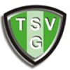 Wappen / Logo des Teams TSV Gussenstadt