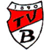 Wappen / Logo des Teams TV Birenbach