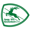 Wappen / Logo des Vereins Spvgg Reichenbach/Tle