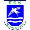 Wappen / Logo des Vereins TSV Miedelsbach